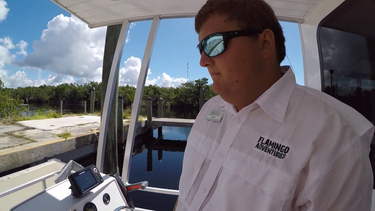 Differences between AC and DC Power | Flamingo Adventures Houseboat ...