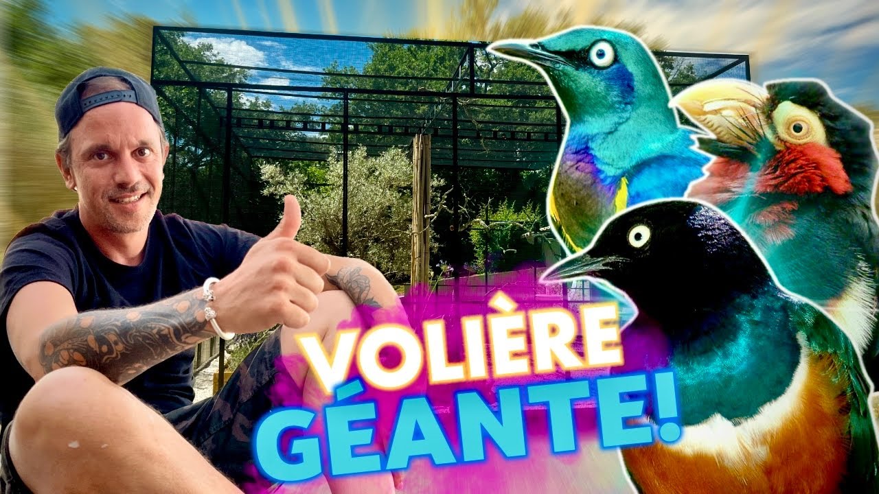 MA VOLIÈRE EST PLUS GRANDE QUE MON ANCIEN APPART🤭 !- TOOPET