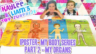 iPoster - My Body / Organs Interactive Poster Part 2