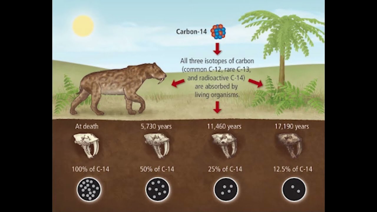 Datowanie radiowęglowe