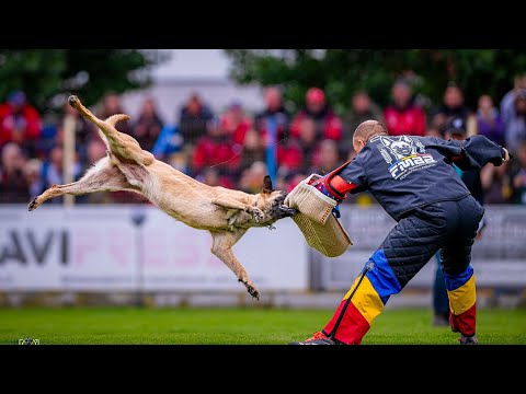 Fenyőfalviné Fanni és "Ragnar" 2026 FMBB IGP Final C97,5 Románia 