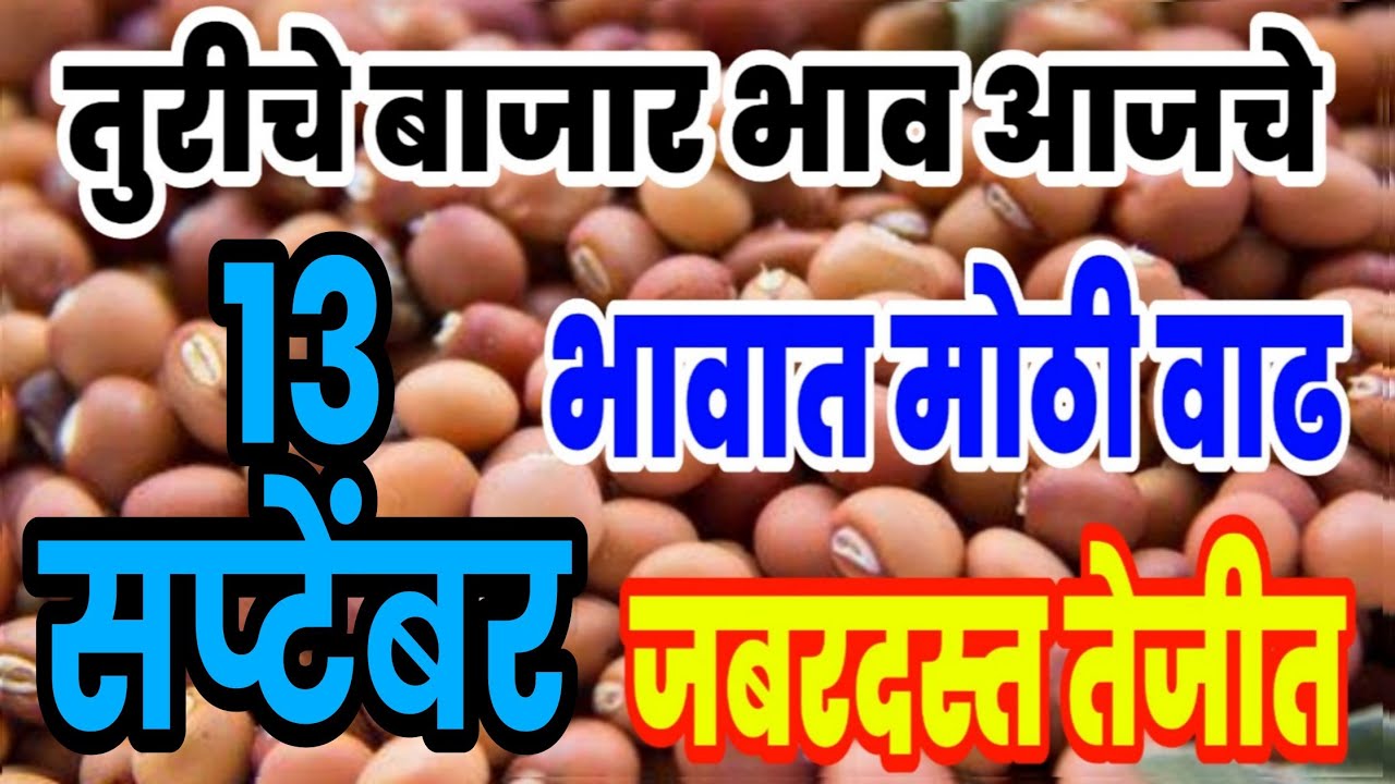 तुर बाजार भाव आणखी वाढण्याची चिन्हे/ आवक घटली 13 सप्टेंबर 2022 tur market rate today YouTube