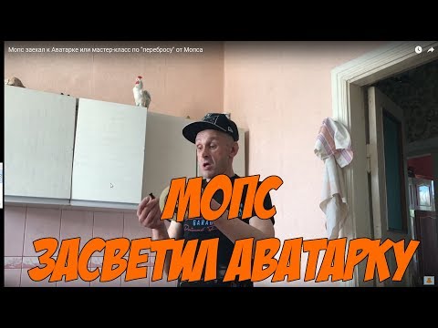 Мопс заехал к Аватарке или мастер-класс по \