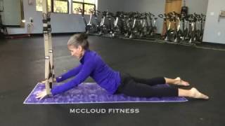 TRX Pilates Swan Circles