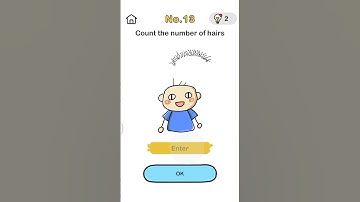you can count the number of hairs... #brain out - level 13