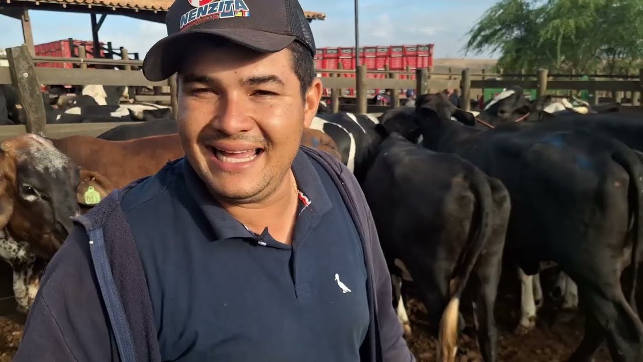 Feira do gado do alto Sertão Monte Alegre Sergipe 15 janeiro  2026