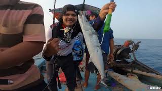 Teknik Mancing Ikan Tenggiri Pakai umpan hidup, Rig Pertamina Karawang