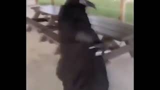 Scp 049 Has Breached Containment Youtube Scp 049 Has Breached Containment Youtube