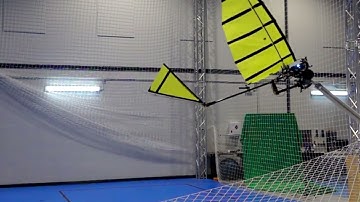 Researchers develop winged robot that can land like a bird