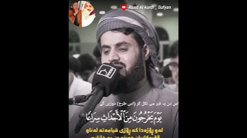 Raad Muhammad al kurdi Whatsapp status _ سورة المعارج الشيخ رعد بن محمد الکردى ❤️ ( Urdu tarjama )