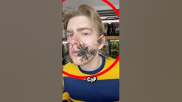 Những con bò cạp này bò trên mặt bạn 😨