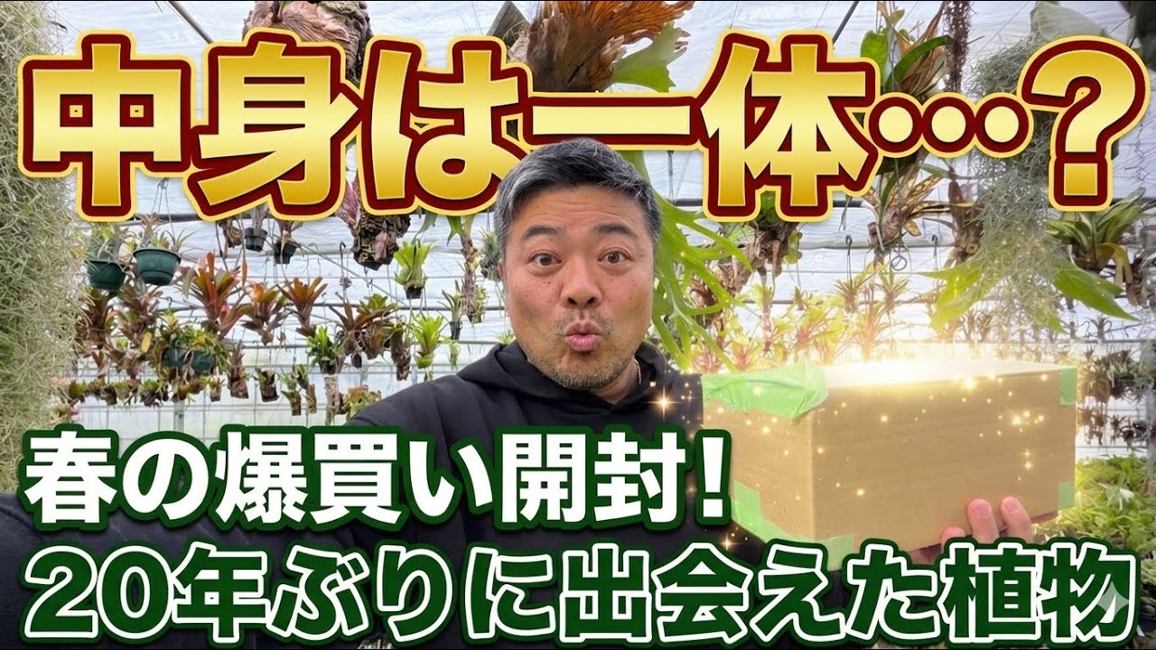 Unboxing video] Introducing the plant that arrived! I've wanted