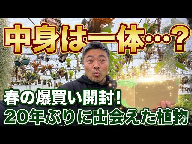 Unboxing video] Introducing the plant that arrived! I've wanted