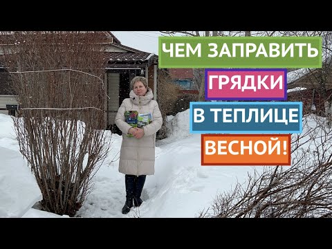 ЧЕМ ЗАПРАВИТЬ ГРЯДКИ В ТЕПЛИЦЕ, ЧТОБЫ ПОВЫСИТЬ ПЛОДОРОДИЕ!