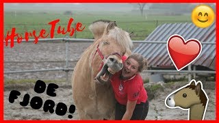 De Fjord! | HorseTube De Fjord! | HorseTube