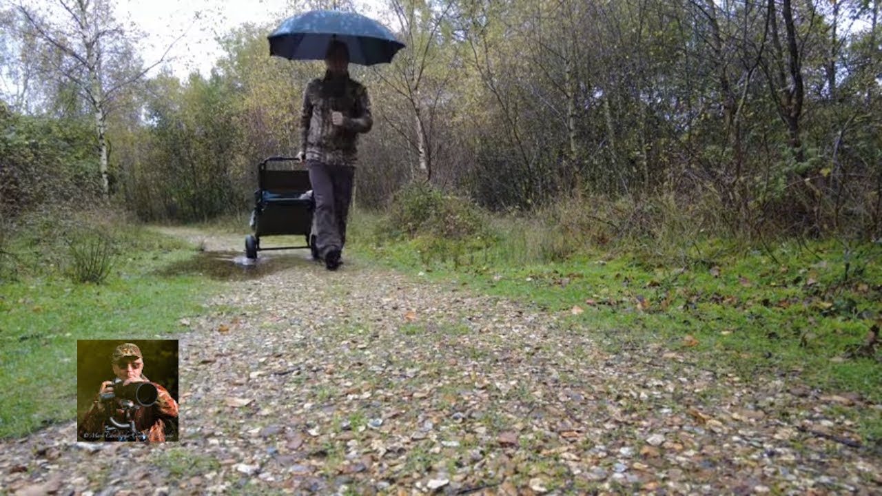 Wildlife photography rain at Blashford Lakes by "Camilla & I"
