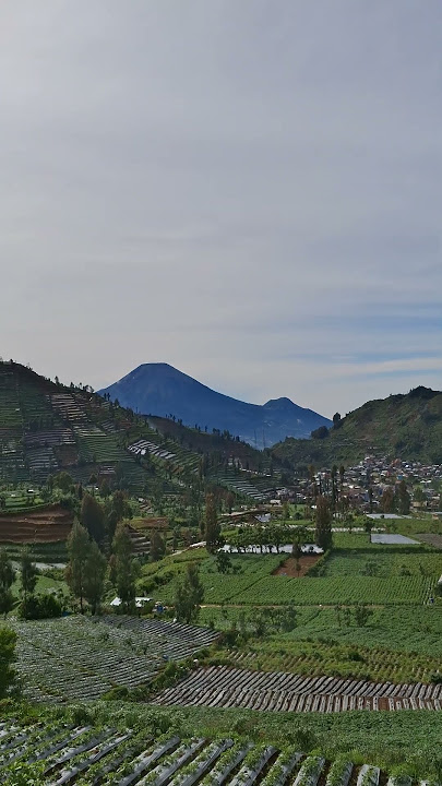 Mount Sindoro After Rain #diengvlog #mountsindoro