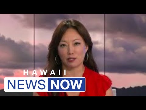 HNN News Brief