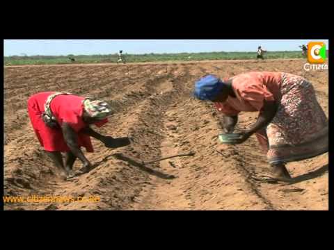 Video: Bonde la makaa ya mawe la Ekibastuz: historia ya ugunduzi na sasa