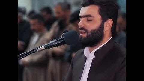 القارئ بيشه وا قادر الكردي حالات واتس اب قران كريم