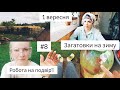 #8 ПОДВІР&#39;Я. Великий ВЛОГ. ХТО ЖИВЕ В ТЕПЛИЦІ? Трохи про СЕБЕ. 1 вересня. КОНСЕРВАЦІЯ.