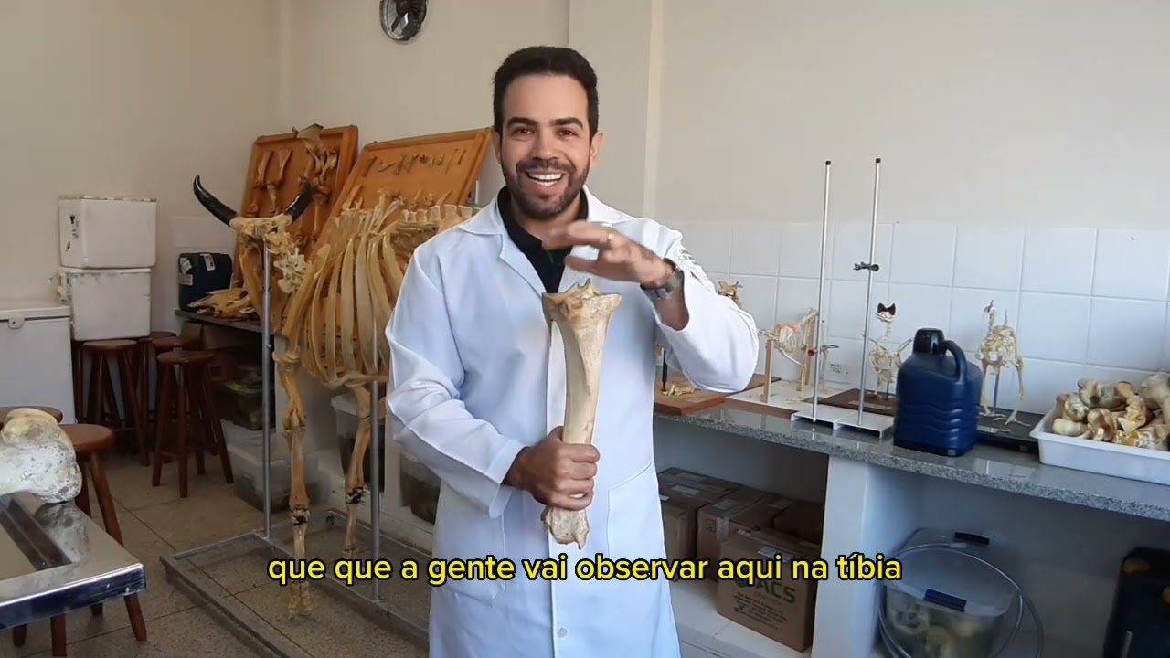 Tíbia E Fíbula | Anatomia Animal | Explicação Dos Acidentes Ósseos Na Prática
