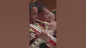 Advent Calendar Day 20 | British Army #shorts