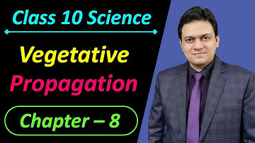 Vegetative Propagation Class 10 Science Chapter 8 How do Organisms Reproduce