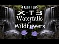 Fuji X-T3 • Waterfalls &amp; Wildflowers with 4 lenses!