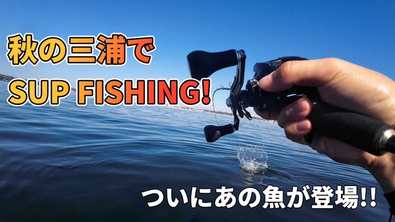 秋の三浦海岸でSUPフィッシング！ - YouTube