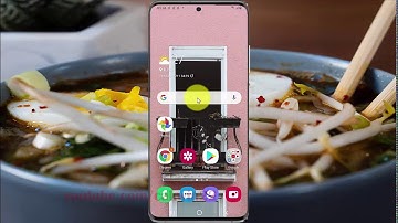 Samsung Galaxy S20 : How to change Transition animation scale (Android 10)