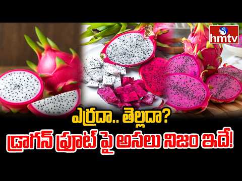 To The Point : ఎర్రదా.. తెల్లదా? డ్రాగన్ ఫ్రూట్‌పై అసలు నిజం ఇదే! | hmtv - HMTVNEWS