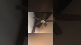 Ceiling fan sightings compilation #3