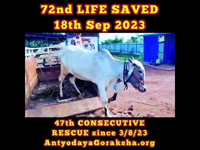 72nd LIFE SAVED 🎉