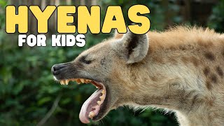 Hyenas for Kids | Learn all about this giggling animal by Learn Bright 2,663 views 2 months ago 7 minutes, 34 seconds