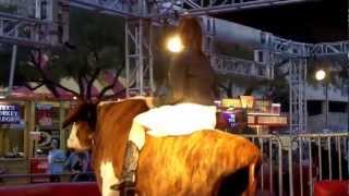 2013 Houston Livestock Show and Rodeo
