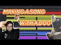 The music wizard shows you how to make music with a dog