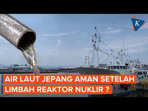 Jepang Klaim Air Laut Aman Usai Buang Limbah PLTN Fukushima