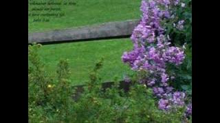 Newsboys - I Am Free