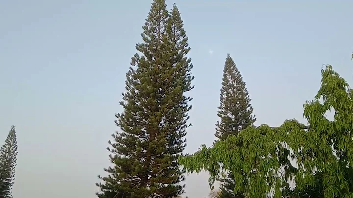 Natural Sound  Beautiful Nature @briansoreng5841