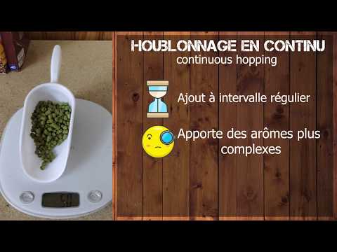 Vidéo: Bières De Houblon Sec Et De Houblon Humide: Comprendre La Différence