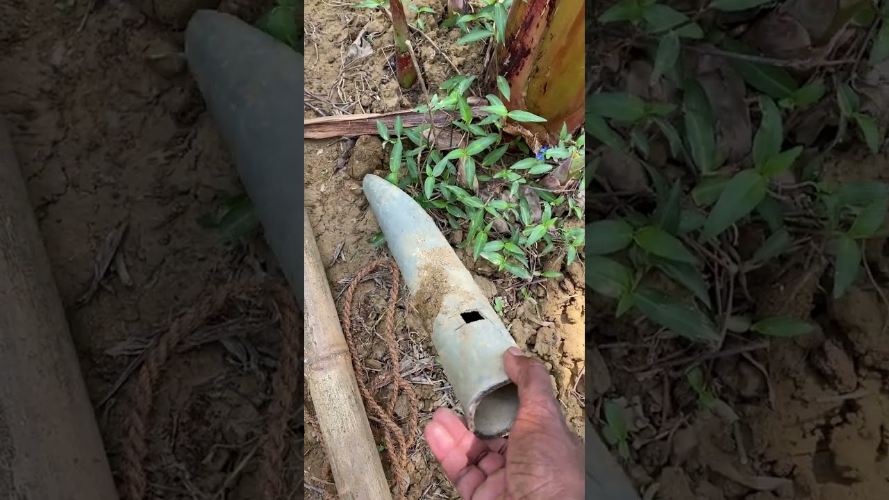 Vlagamuri Biju.       Krishithottam triks