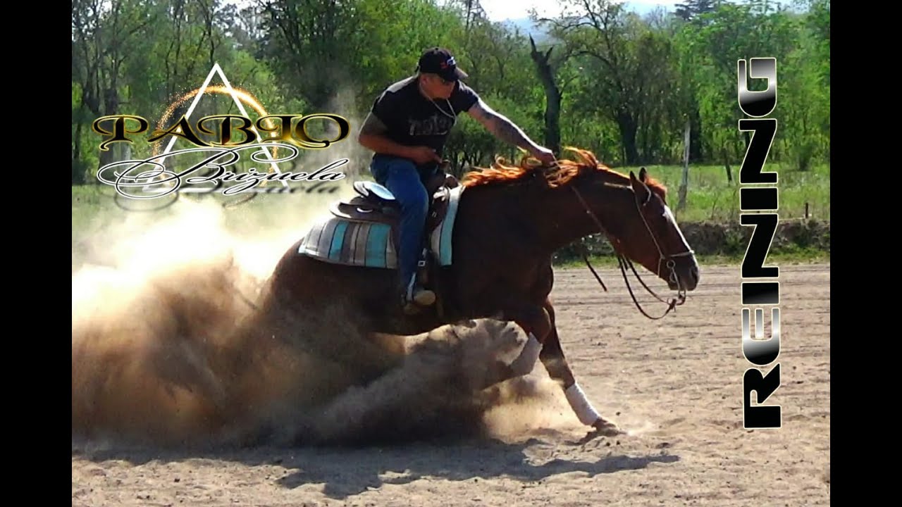 COMO ENSEÑAR A TU CABALLO A PARAR CORRECTAMENTE, PASO A PASO
