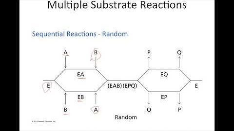 Multiple Substrate Reactions