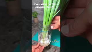 ⚖️ Hack- This way of storing your spring; green onions keep it fresh & long .
