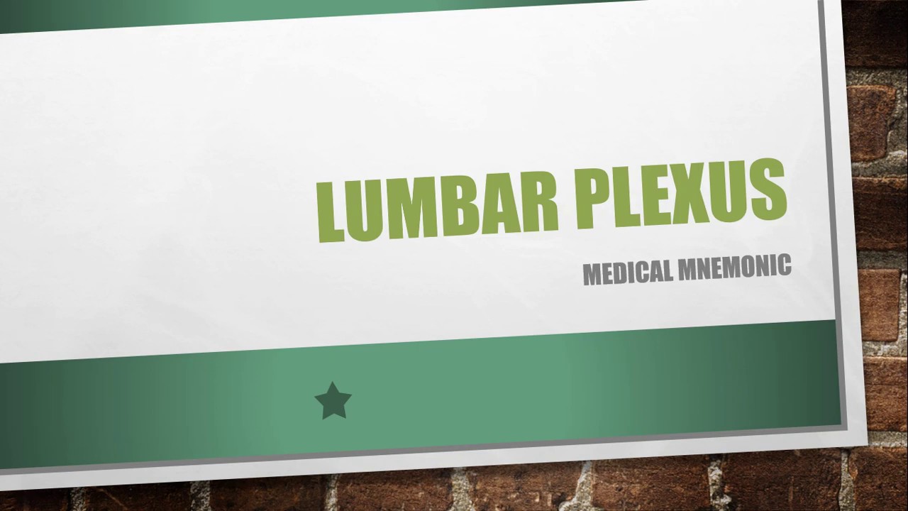 Lumbar Plexus: Mnemonic camera iphone 8 plus apk
