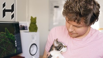 First-Person Camera Controller and Physics // Hazel Dev Log