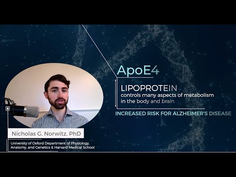 Precision Nutrition for ApoE4 Carriers