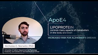 Precision Nutrition for Alzheimer's Prevention in ApoE4 carriers - Video Abstract