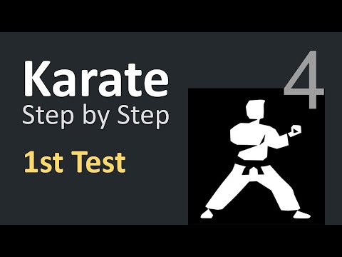 Karate Beginner Tutorials 4 | First API Test